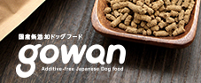 国産無添加ドッグフード　gowan（ごわん）